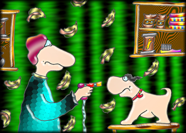 ... F&ouml;n ist quasi ...