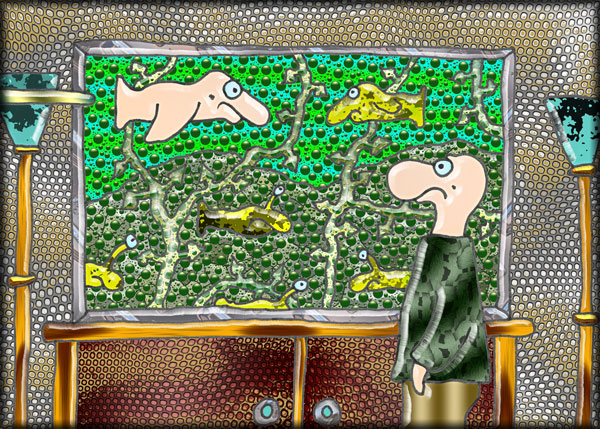 ... hattu Aquarium ...