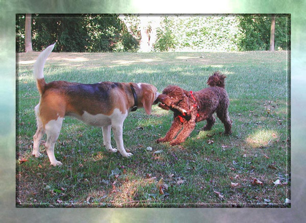 Mein St&ouml;ckchen! GRRRRRRRRRRRR