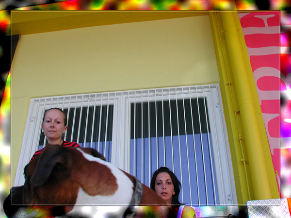 Max mag keine Männer