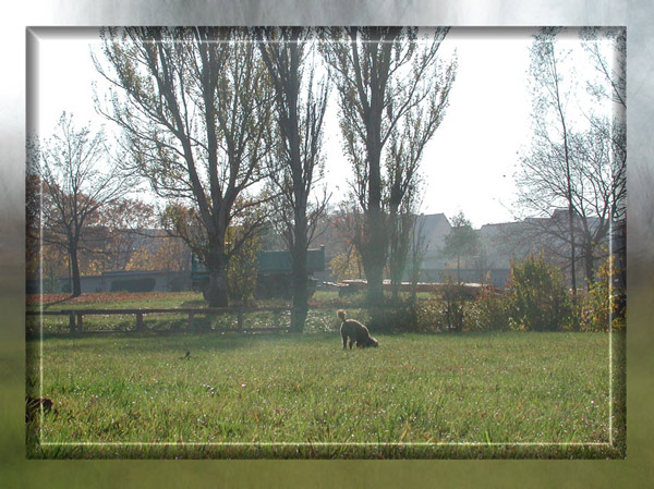 Dürfte ich bitte jetzt mal eben a weng arbeiten, hä?