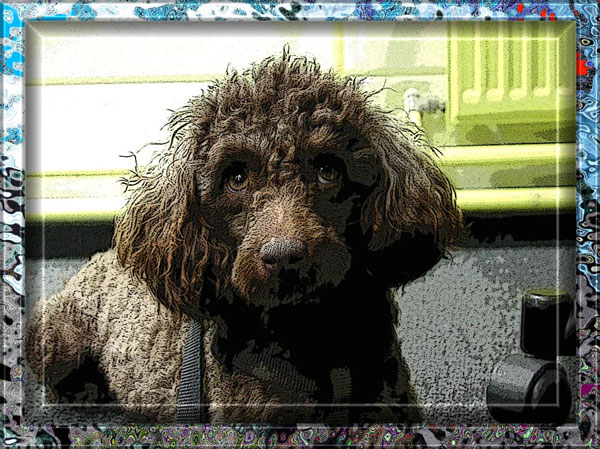 Noch einmal mit Leine