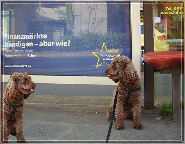 Wie jetzt - bändigen?