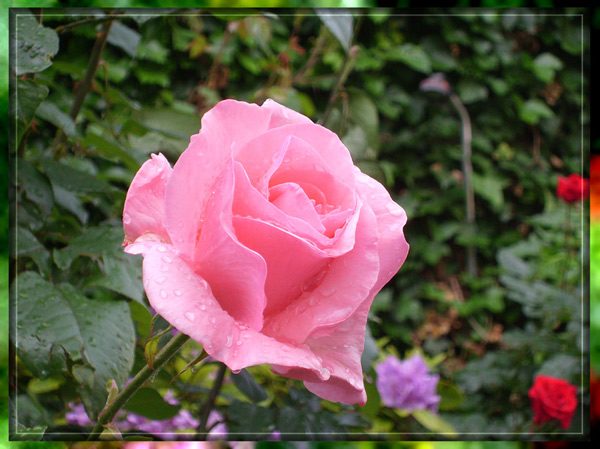 Sollte ich morgen früh