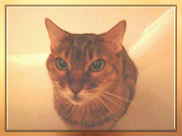 Scheiss auf die Kamera