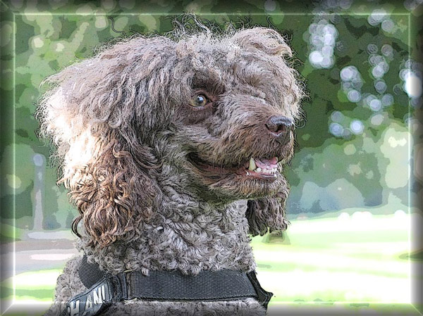 Dieses Foto hat sich