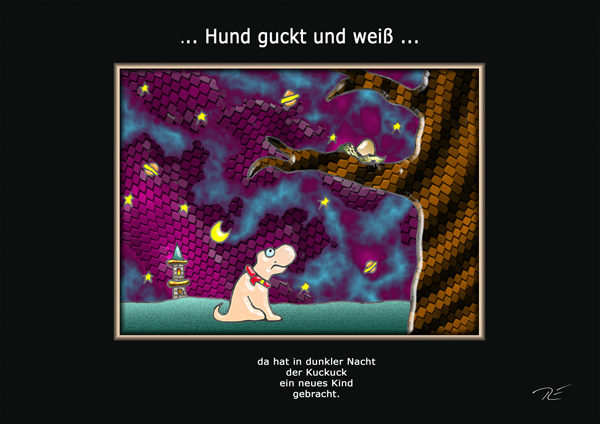 ... Hund guckt und weiß ...