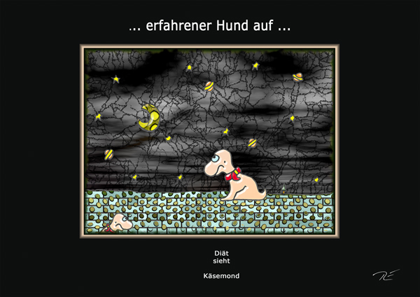 ... erfahrener Hund auf ...